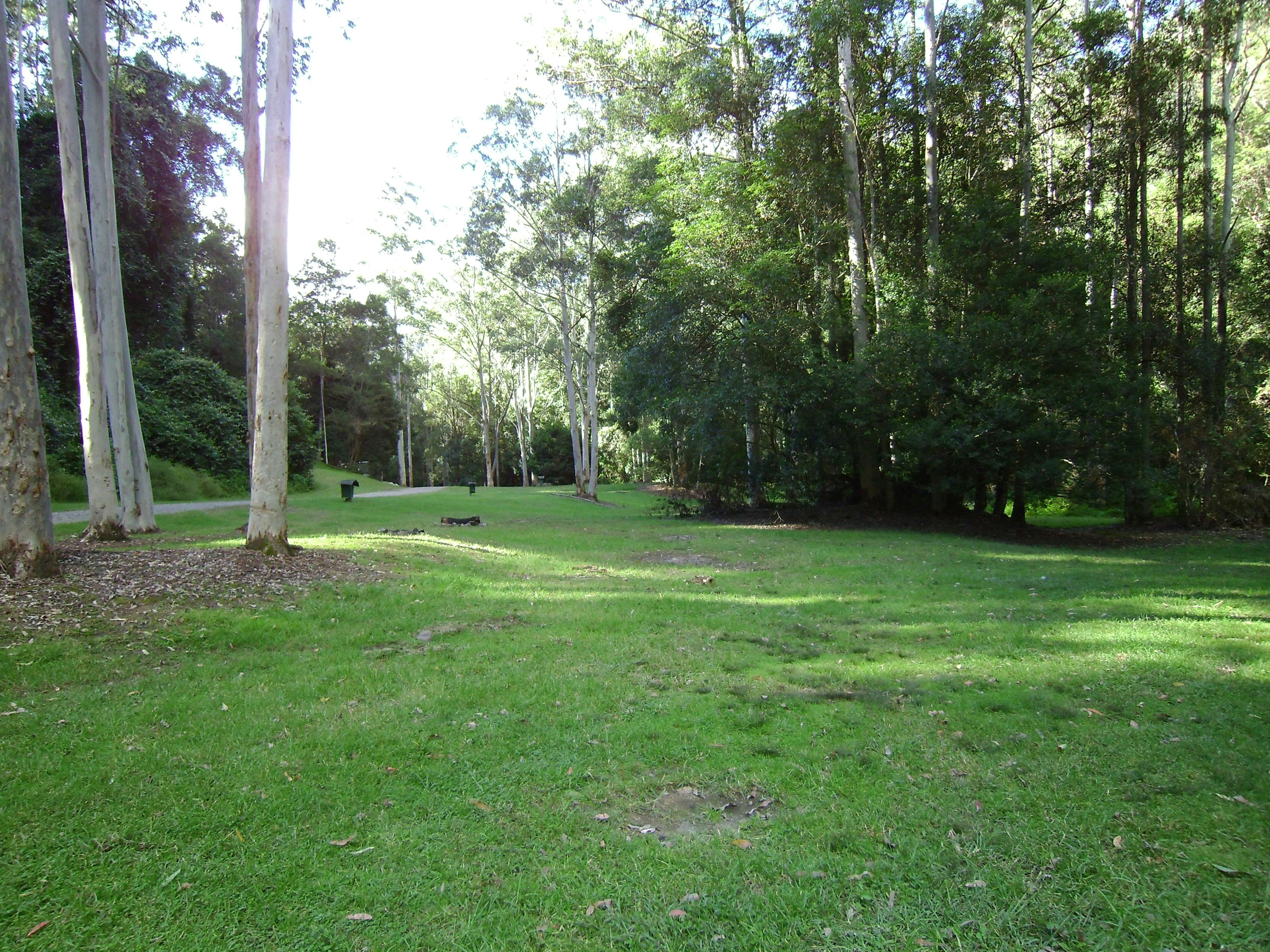 state forests