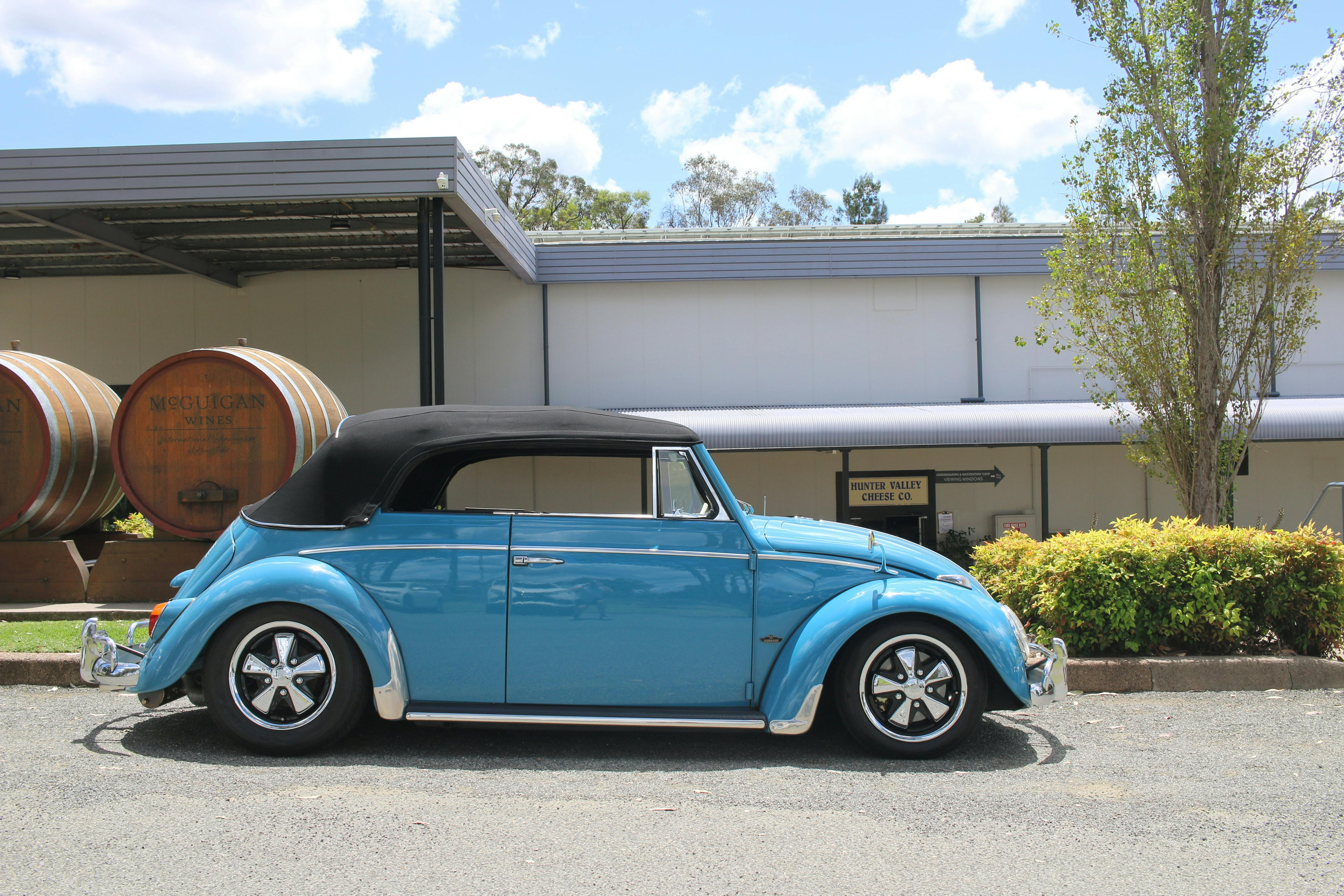 Twisted Vine Unique Tours - Mcguigan Wines in Joycie 67 VW Beetle Karman Cabriolet