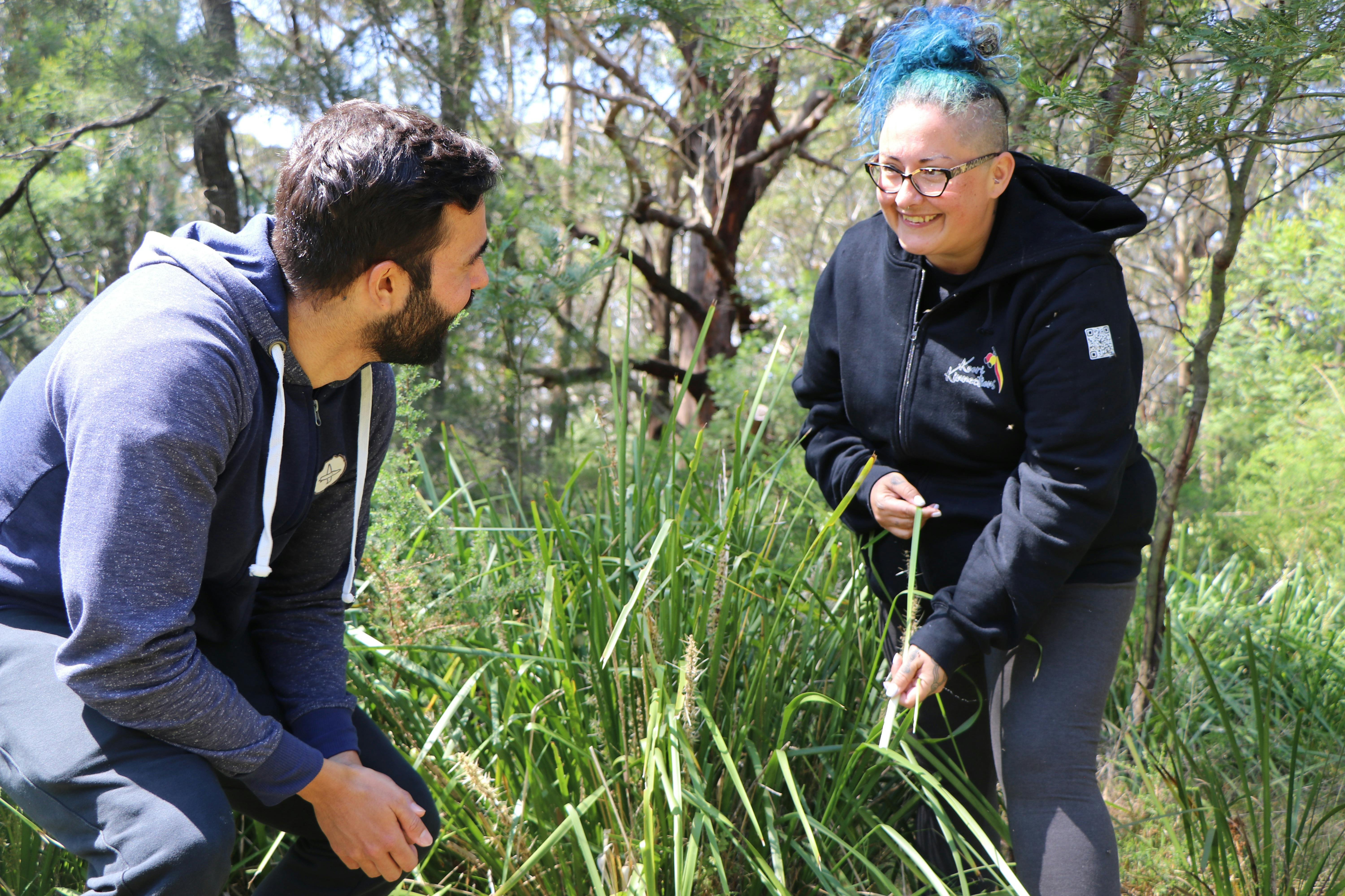 Ein Aborigine-Führer steht neben einer Lomandra-Pflanze und hält einen Stängel, während Gäste zuschauen.
