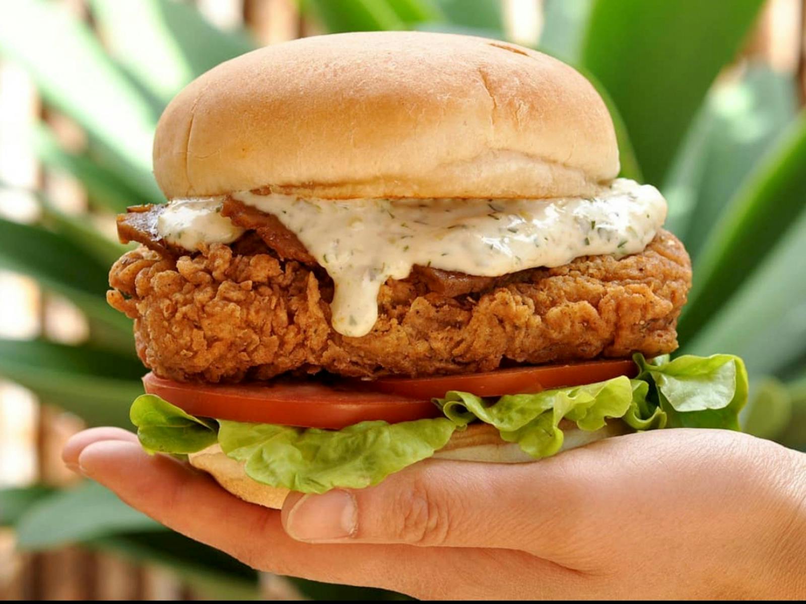 Image for Eat Street Wollongong