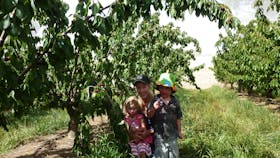 Harben Vale Pick Your Own Cherries