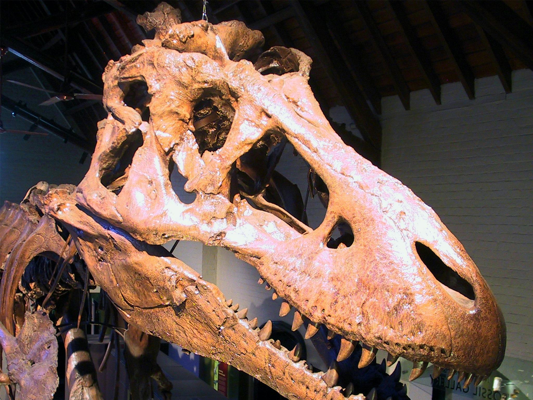 Australian Fossil And Mineral Museum NSW Holidays Accommodation   4132ddfa94344a53155042e91ca17316 