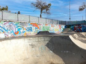 Skate Park Mural