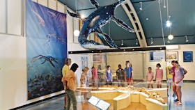 Kronosaurus Korner