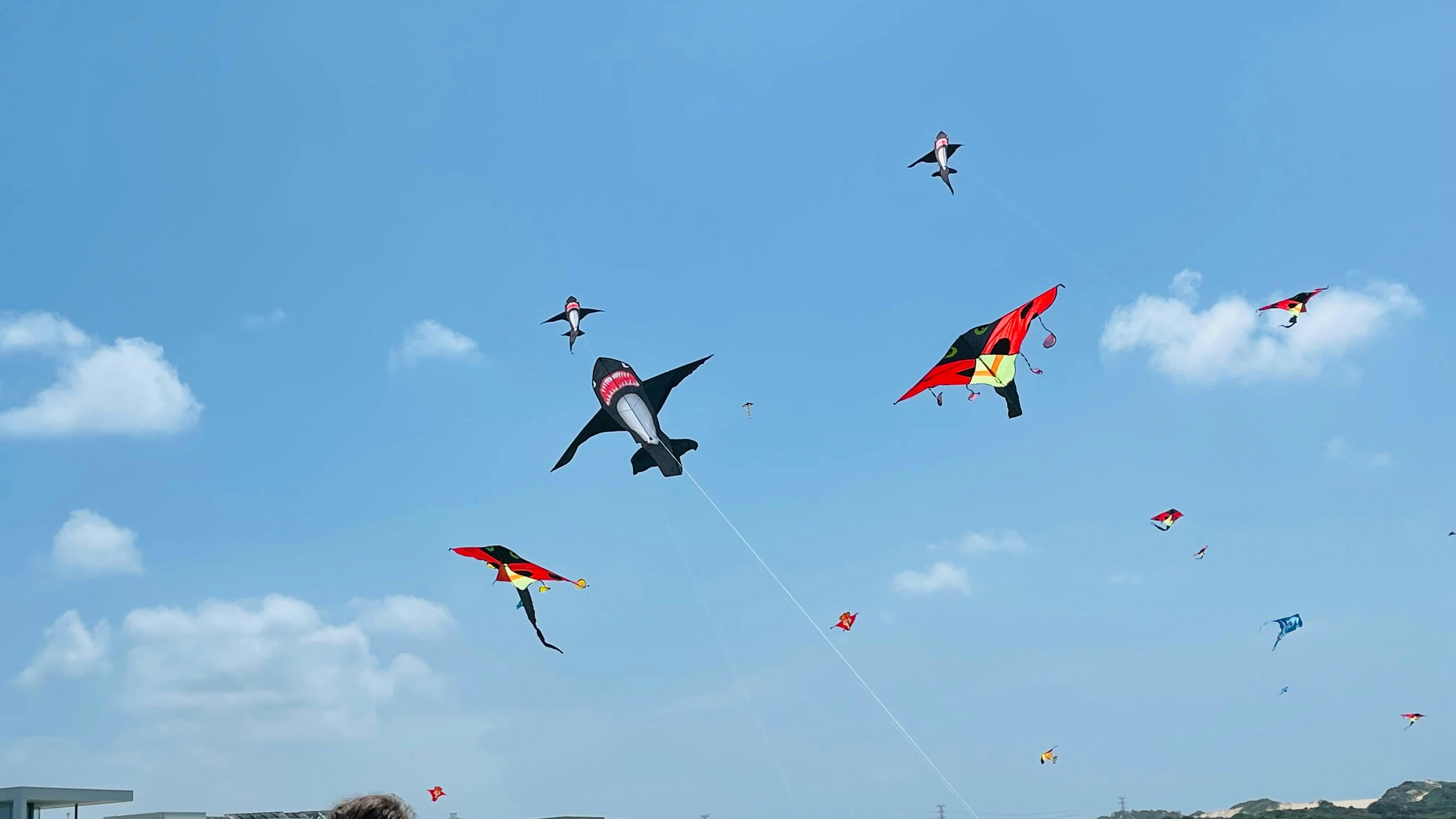 Kite Flying Festival at Gosford Showground