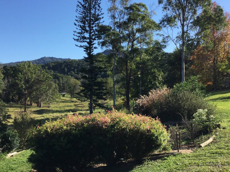 A View Of Mt Warning Bed Breakfast Murwillumbah Nsw A View Of Mt Warning Bed Breakfast Murwillumbah Nsw