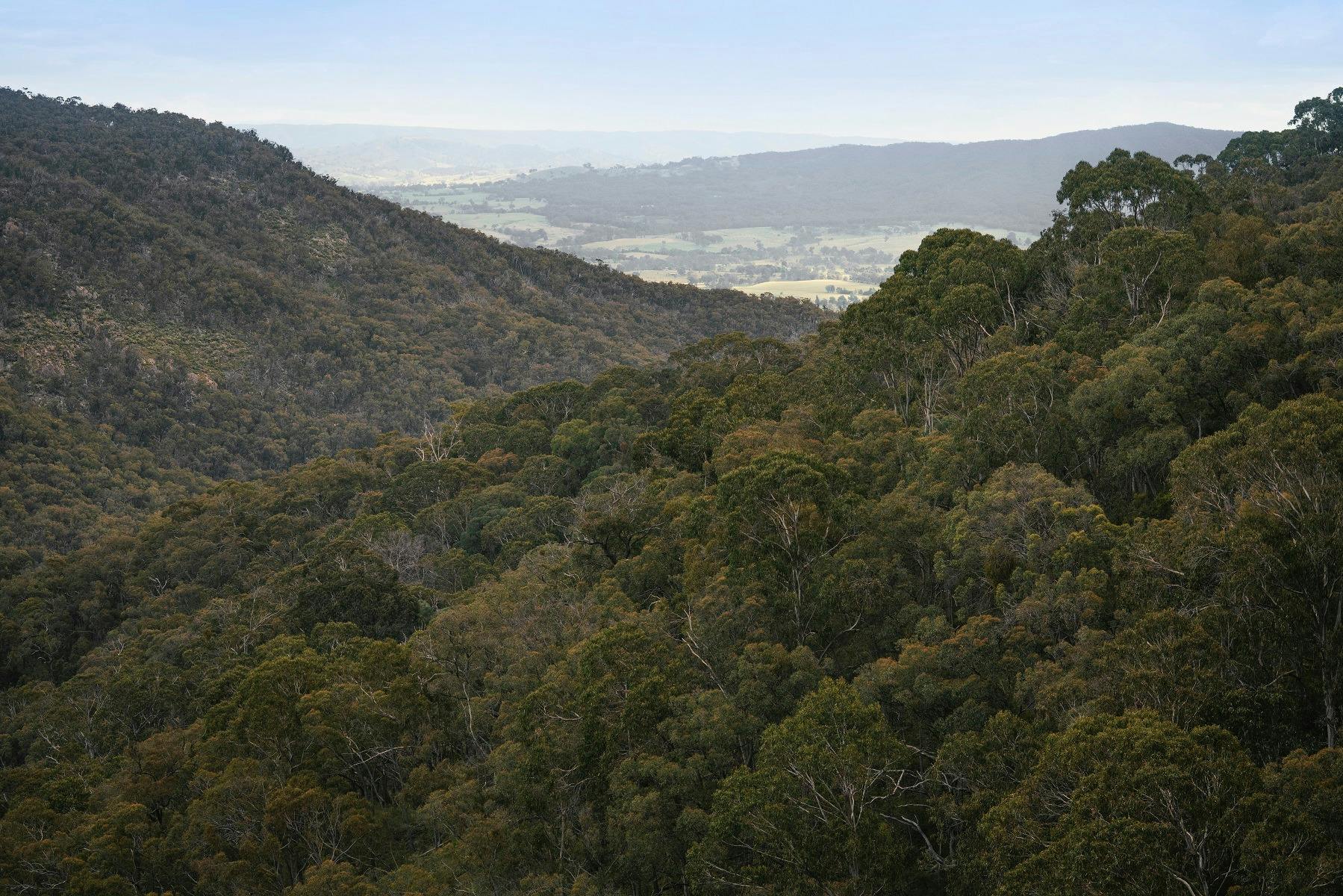Amazing views at the top of Wild Dog Falls in Mt Samaria National Park