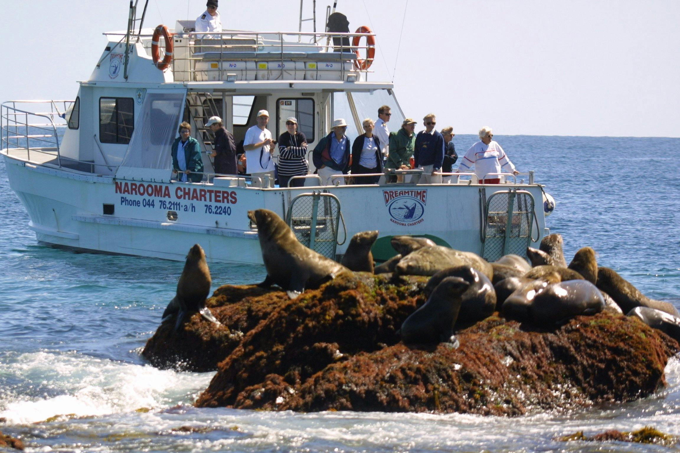 Narooma Charters and Montague Island Tours