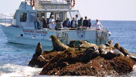 Narooma Charters and Barunguba Montague Island Tours