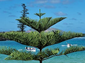 Foundation Day Norfolk Island Celebrations and Luncheon Cover Image