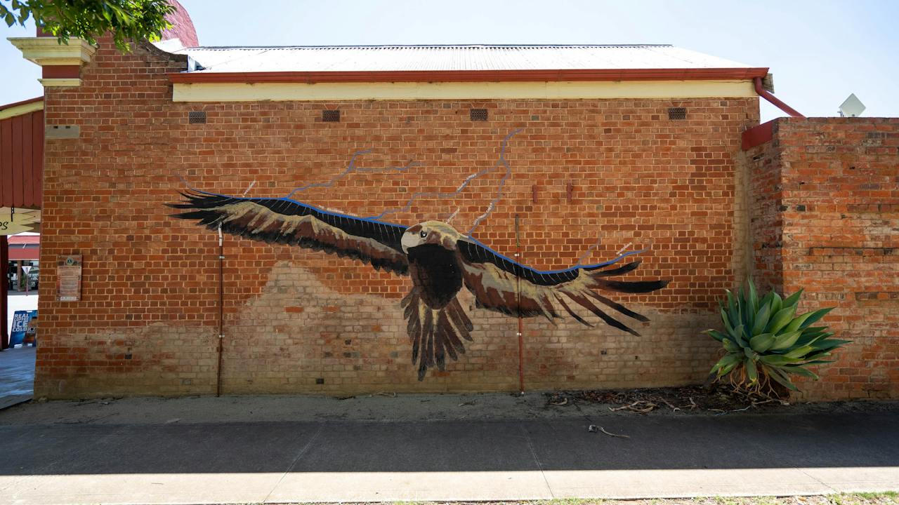 Wedge-Tailed Eagle Mural