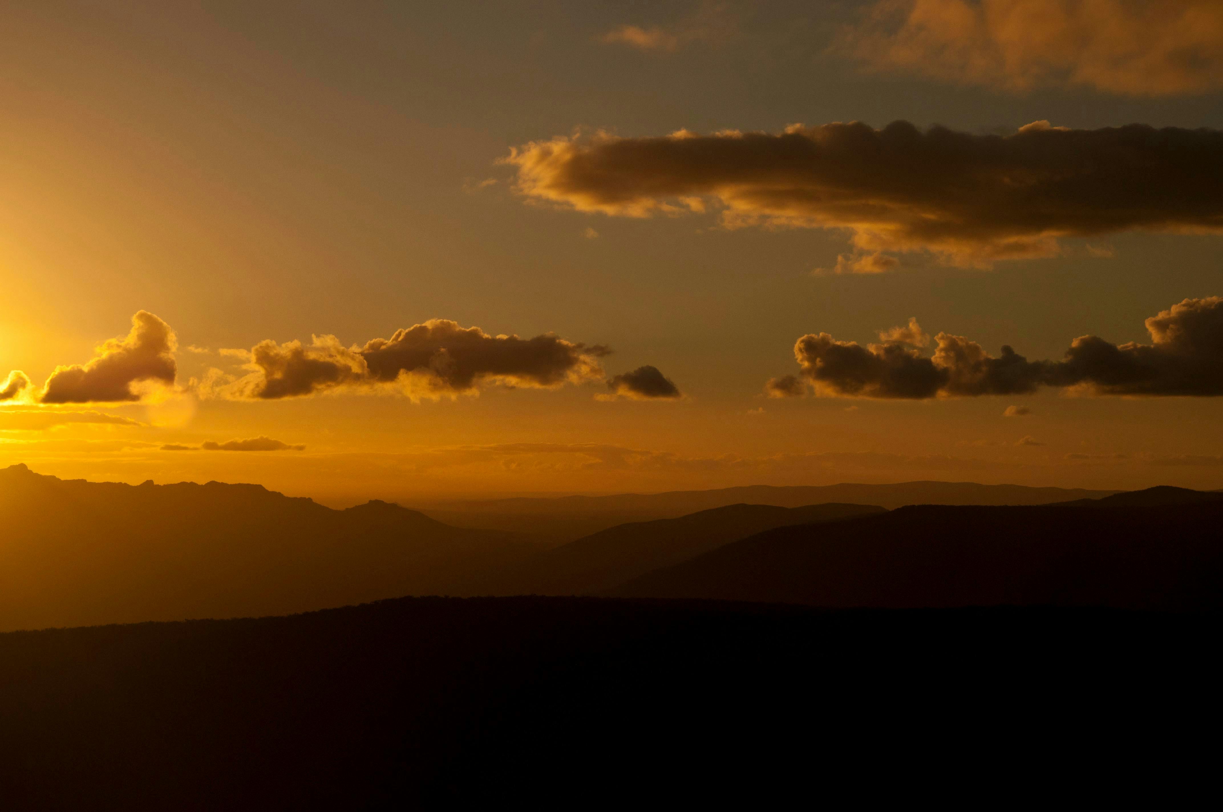 Reeds lookout
