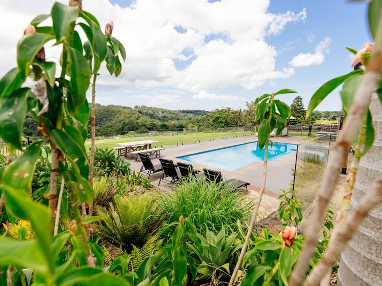 A large pool in a big backyard overlooking  the Byron Bay hinterland and valley. Greenery surrounds