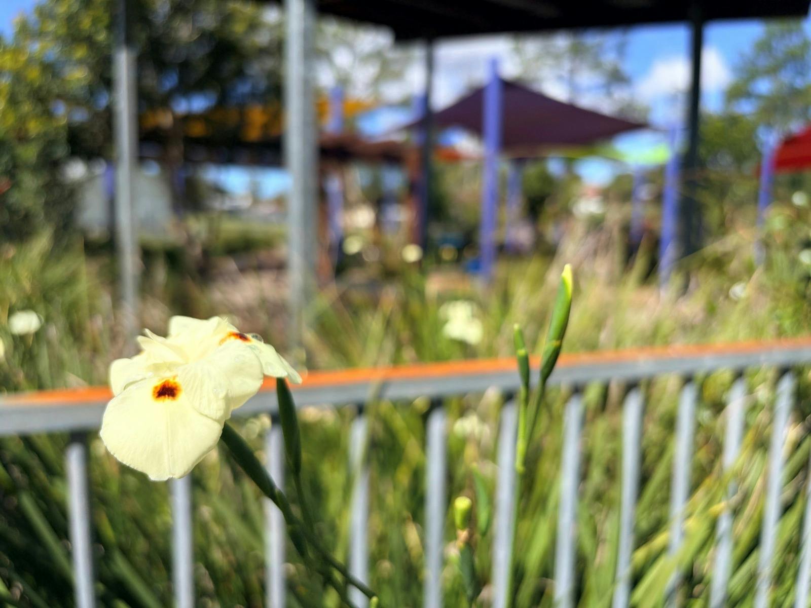 Bowraville Kinderspielplatz
