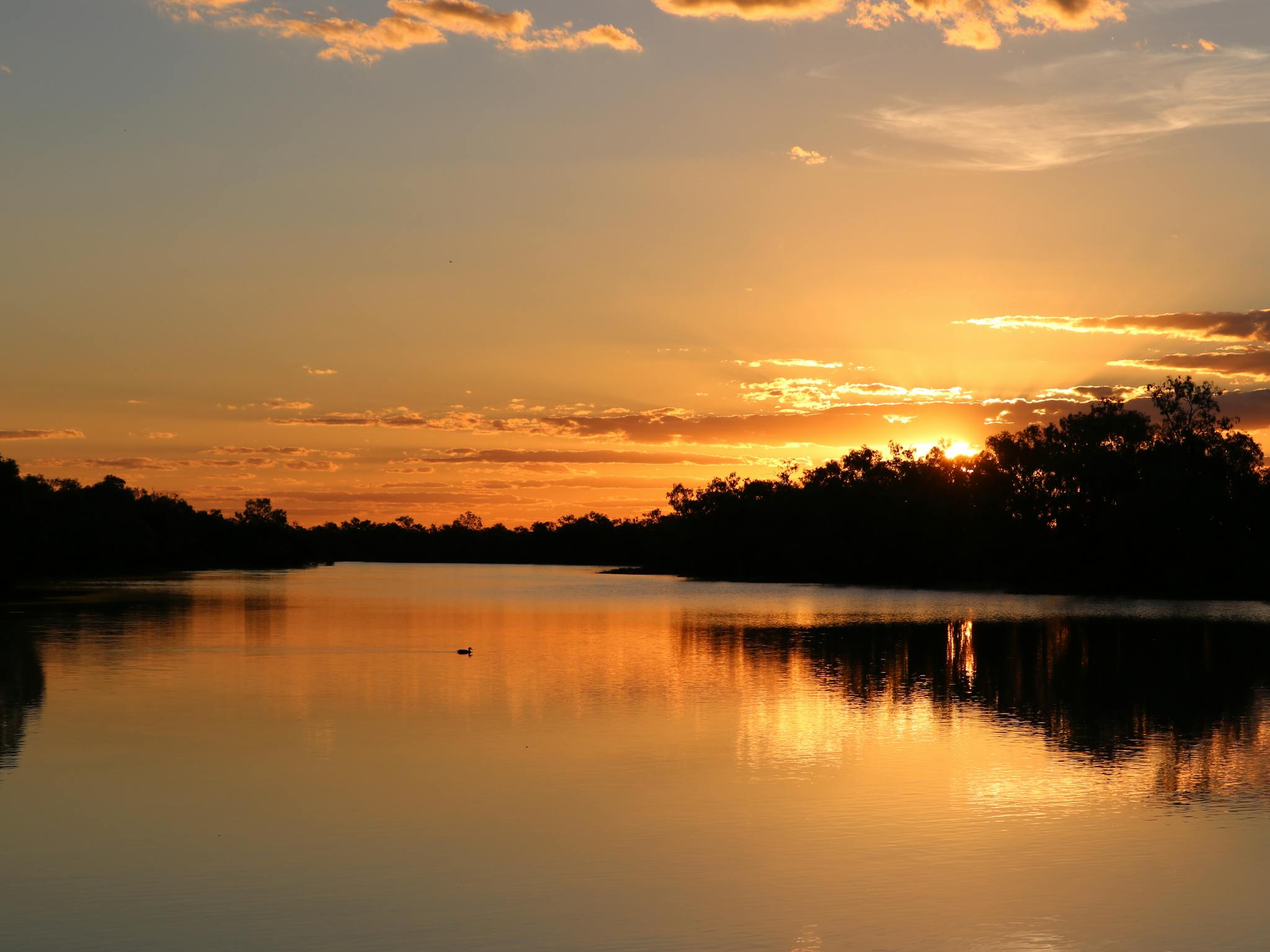 Thomson River at Sunset Thomson River at Sunset