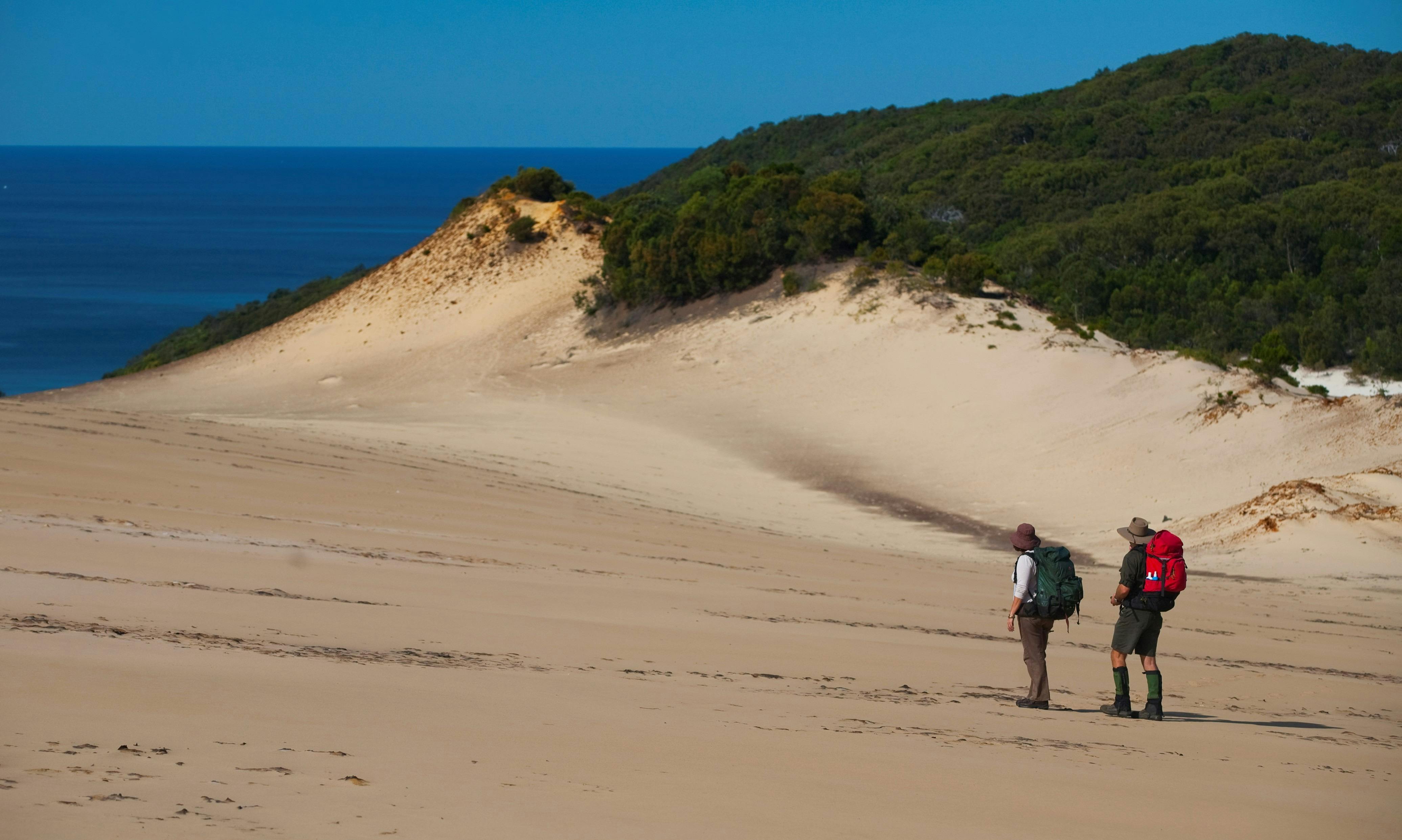 Cooloola Great Walk, Cooloola, Great Sandy National Park