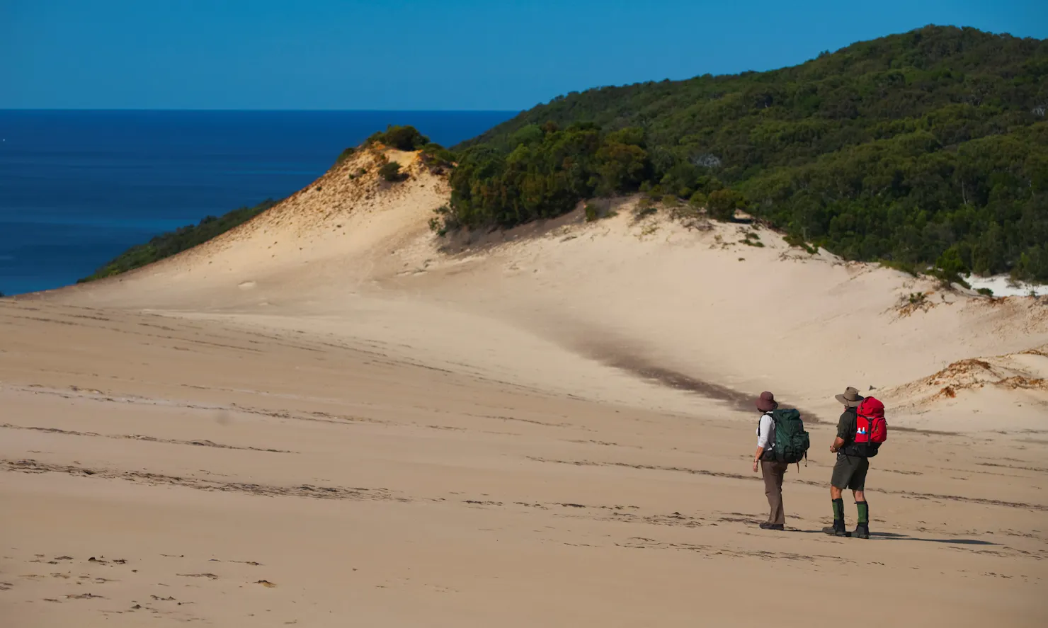 Two people with backpacks walking across a sand patch with ocean in the background.