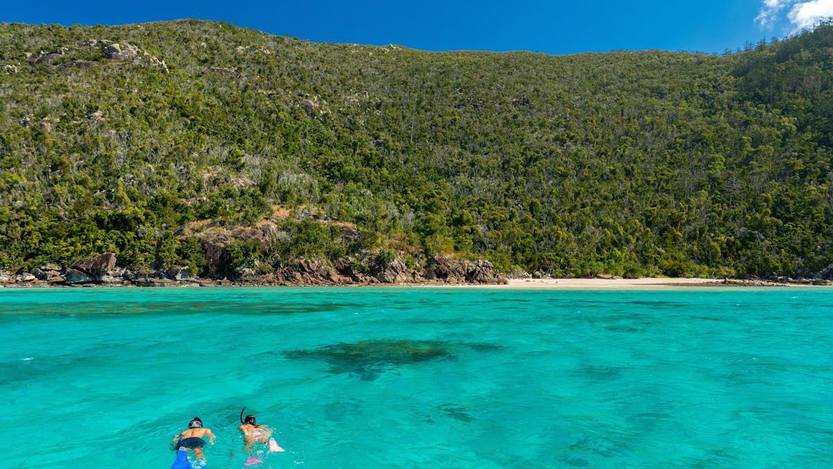 Two people snorkelling above coral reef with beach and island with trees nearby