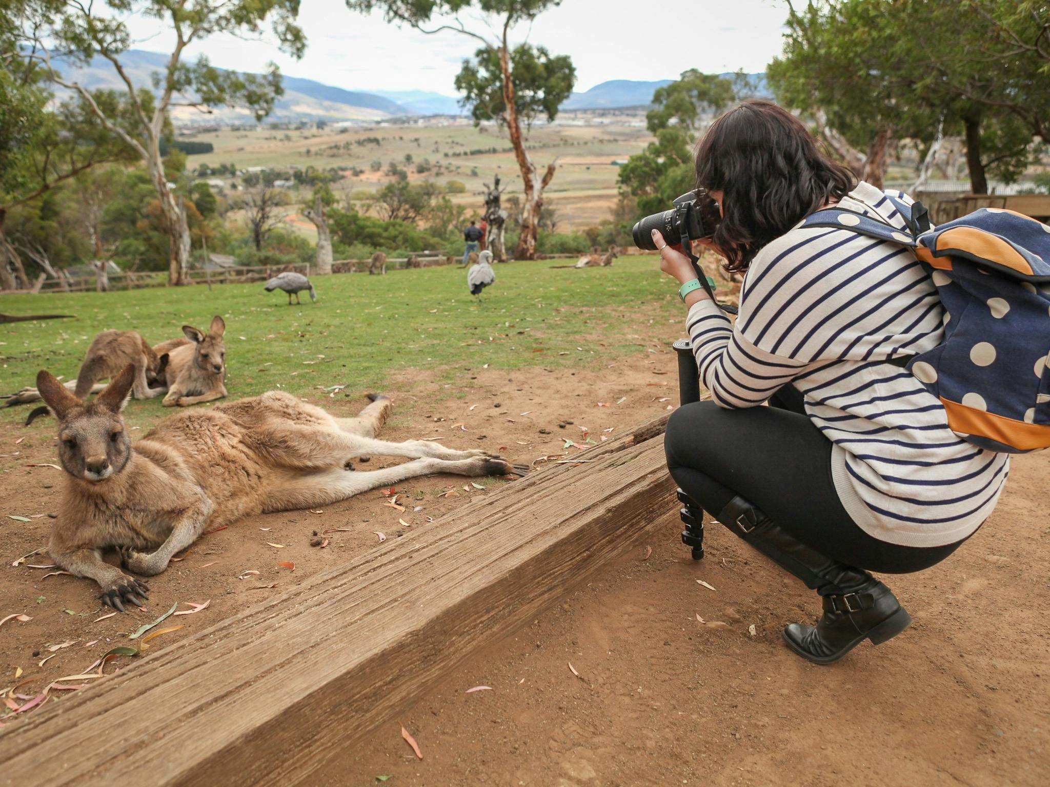 participants and instructor during wildlife photography workshop