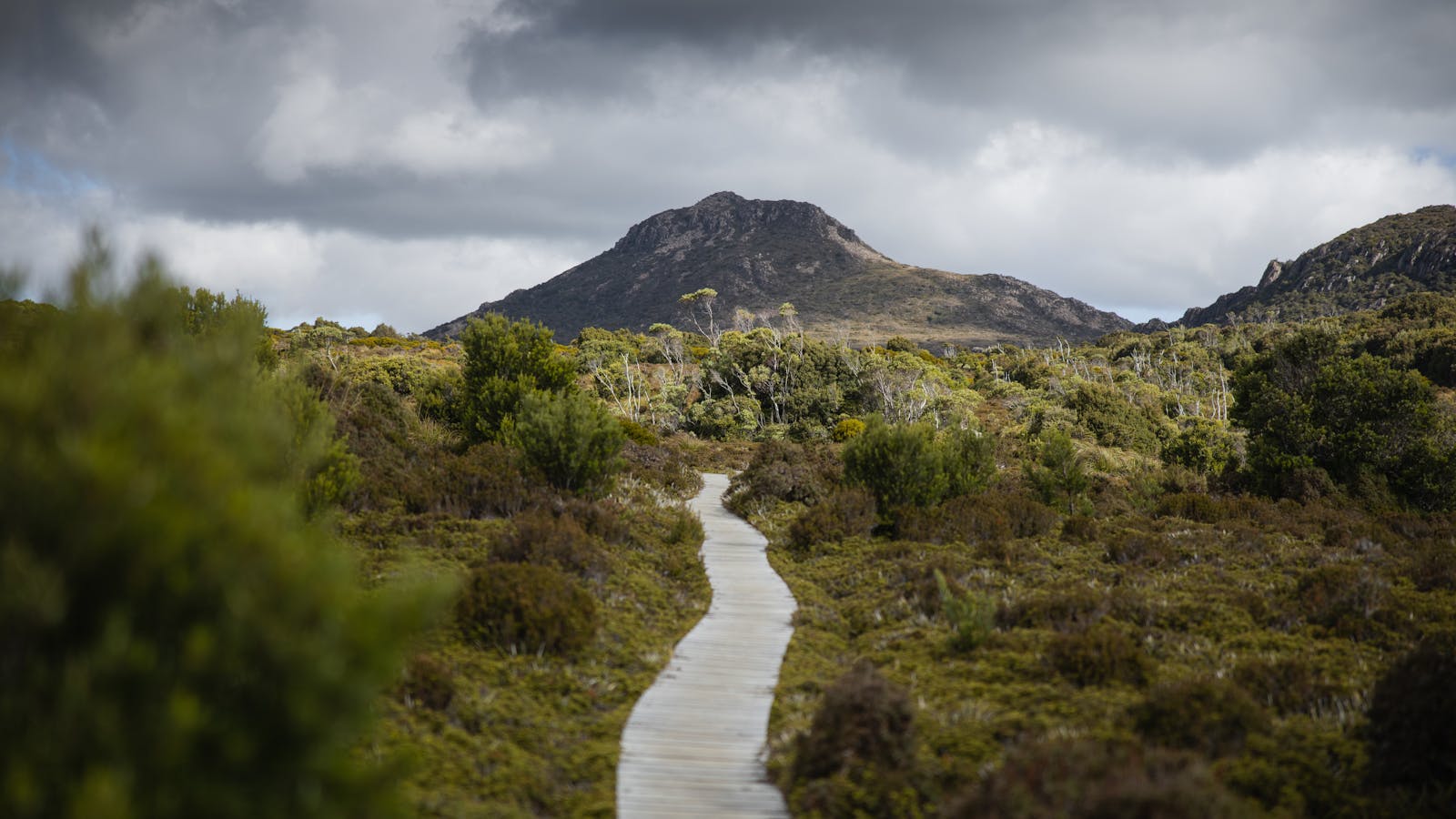 Adventure Trails Tasmania can guide you into the Hartz Mountains, shaped by ancient glaciers
