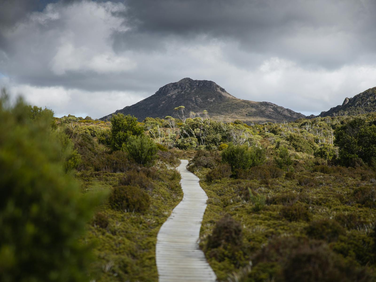Adventure Trails Tasmania can guide you into the Hartz Mountains, shaped by ancient glaciers