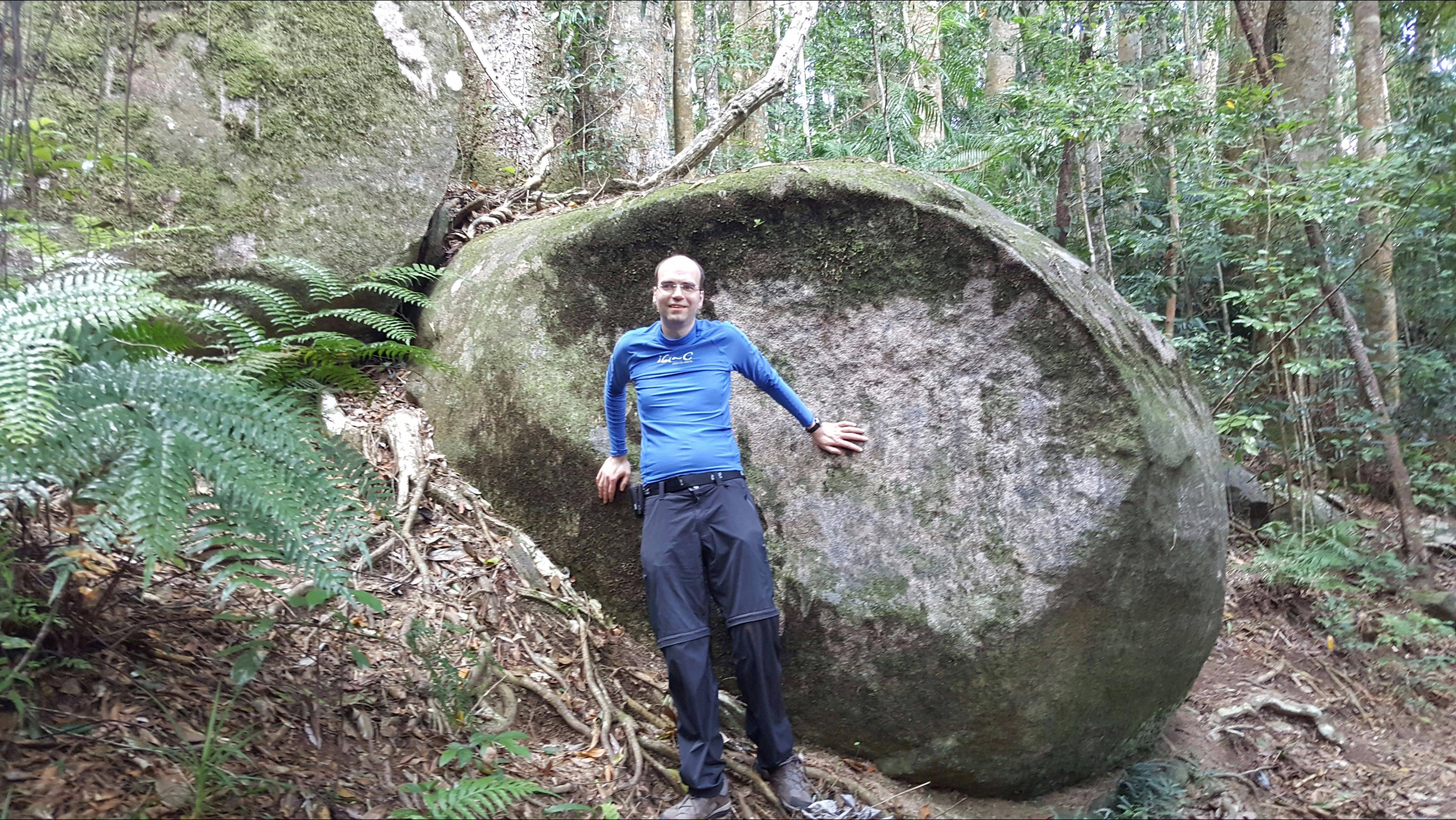 Wolf at Finch Hatton gorge