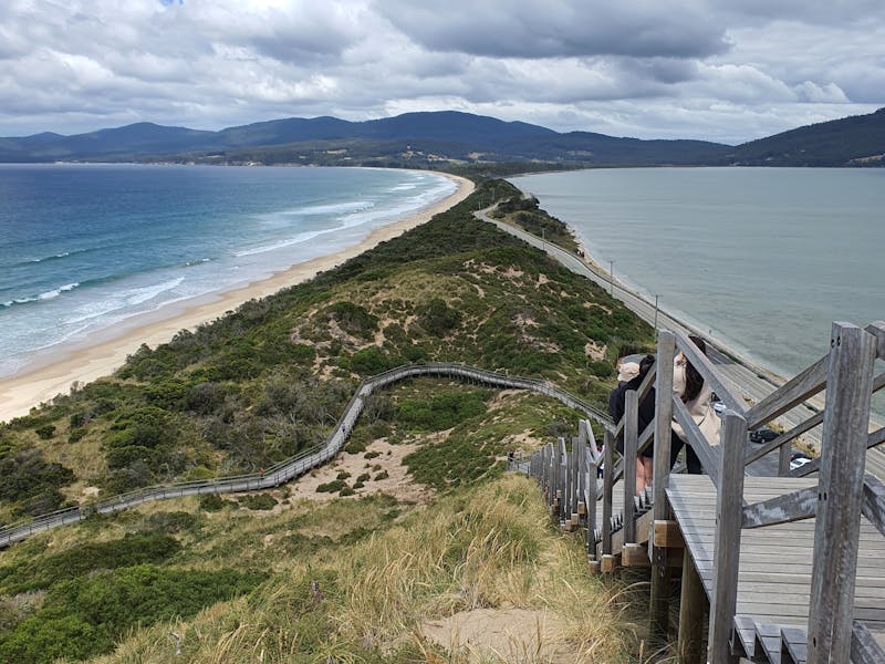 The Neck Lookout