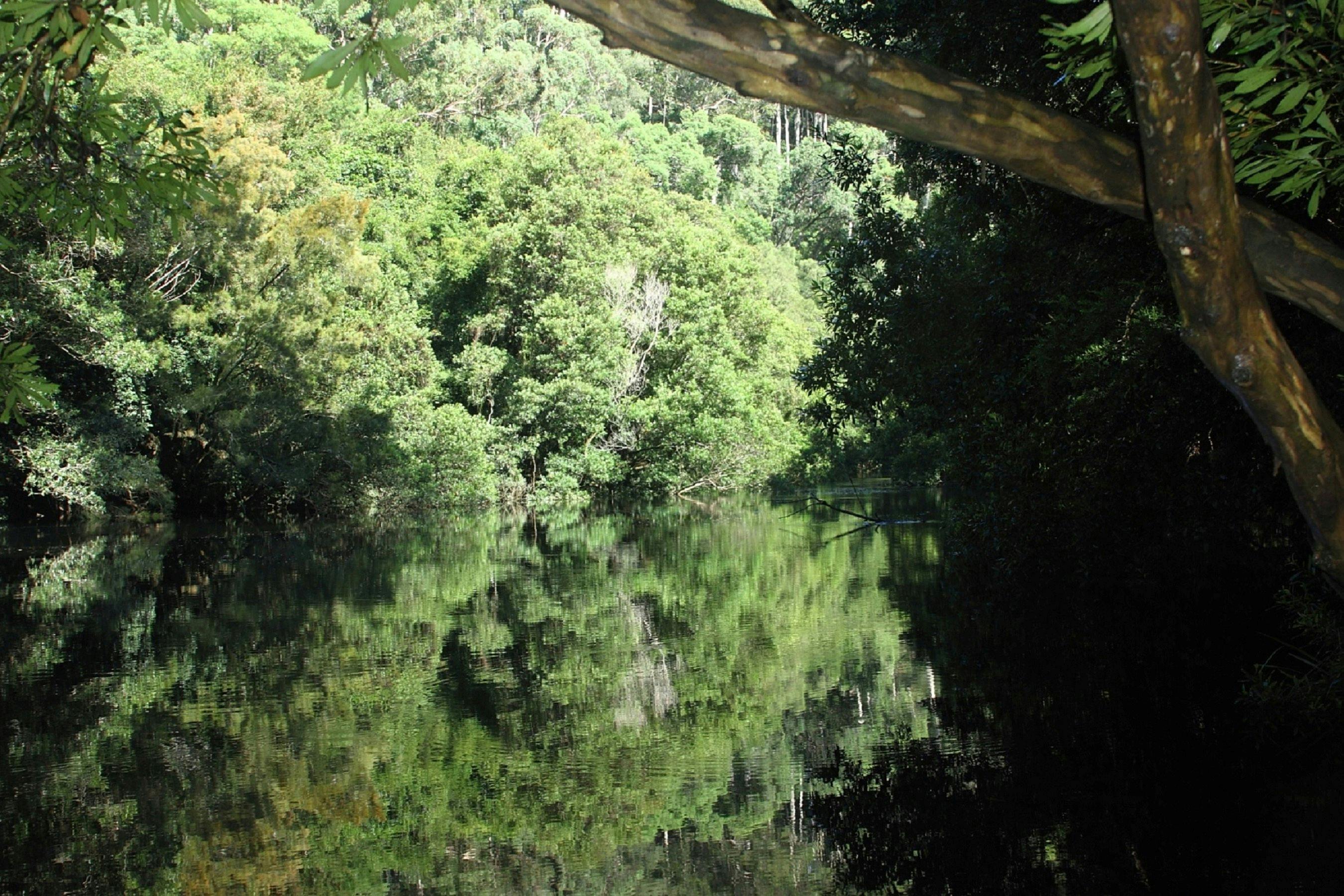 Natural beauty of the Clyde River