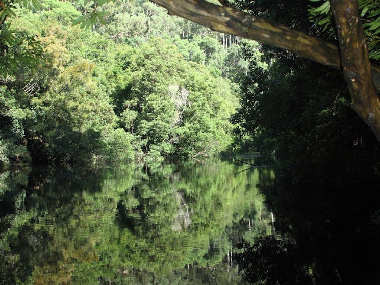 Natural beauty of the Clyde River