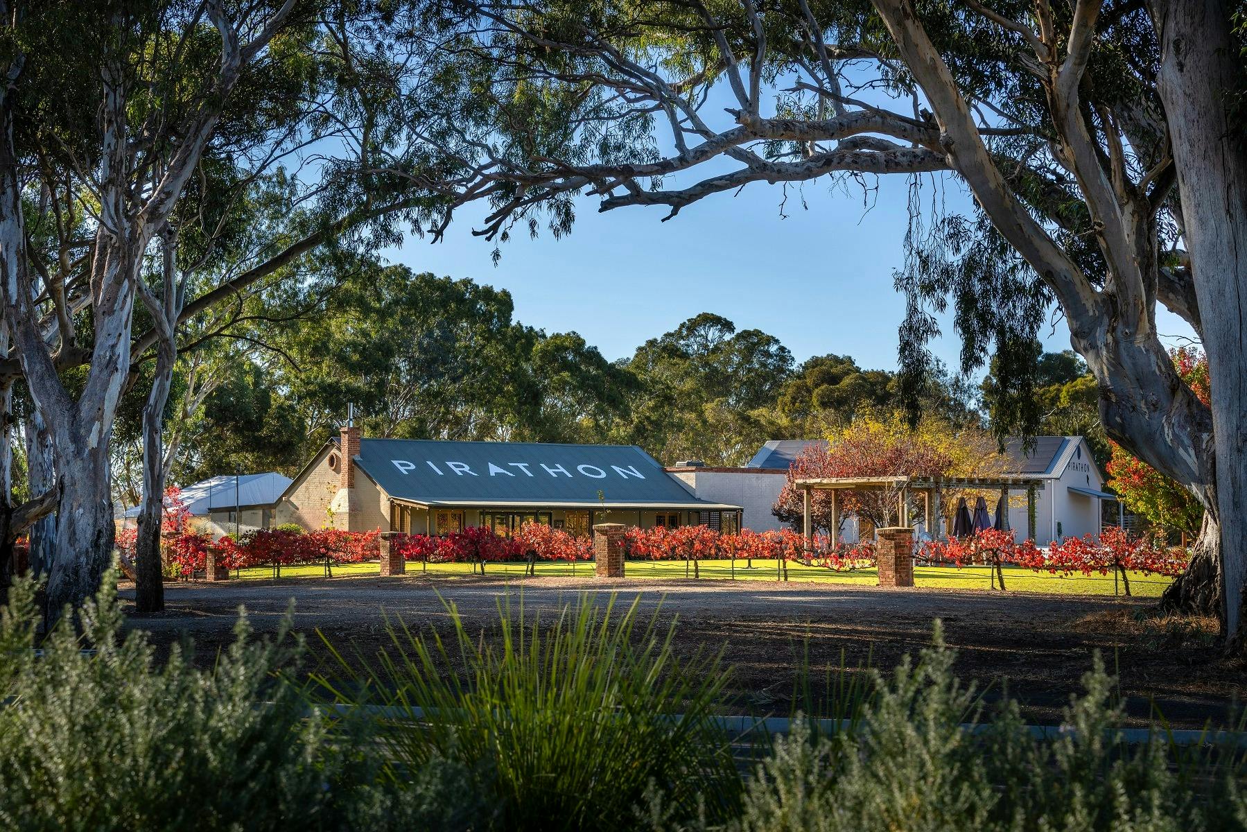 Pirathon Cellar Door