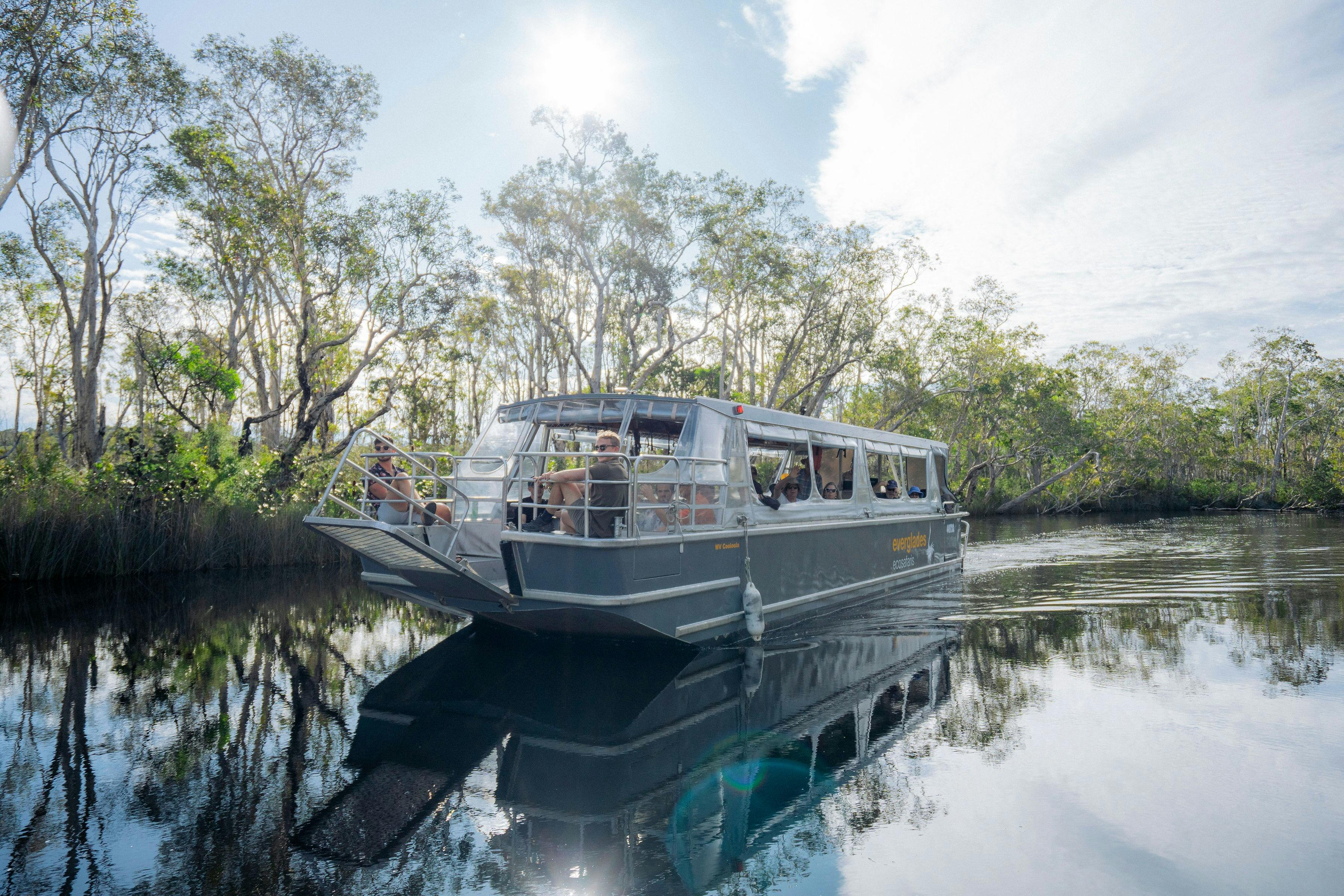 Cruising down the Noosa Everglades