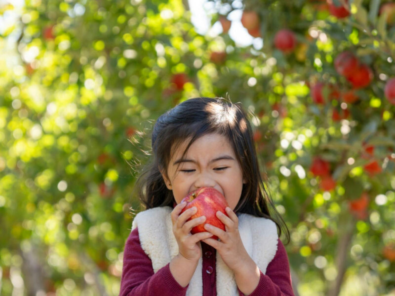 Apple picking