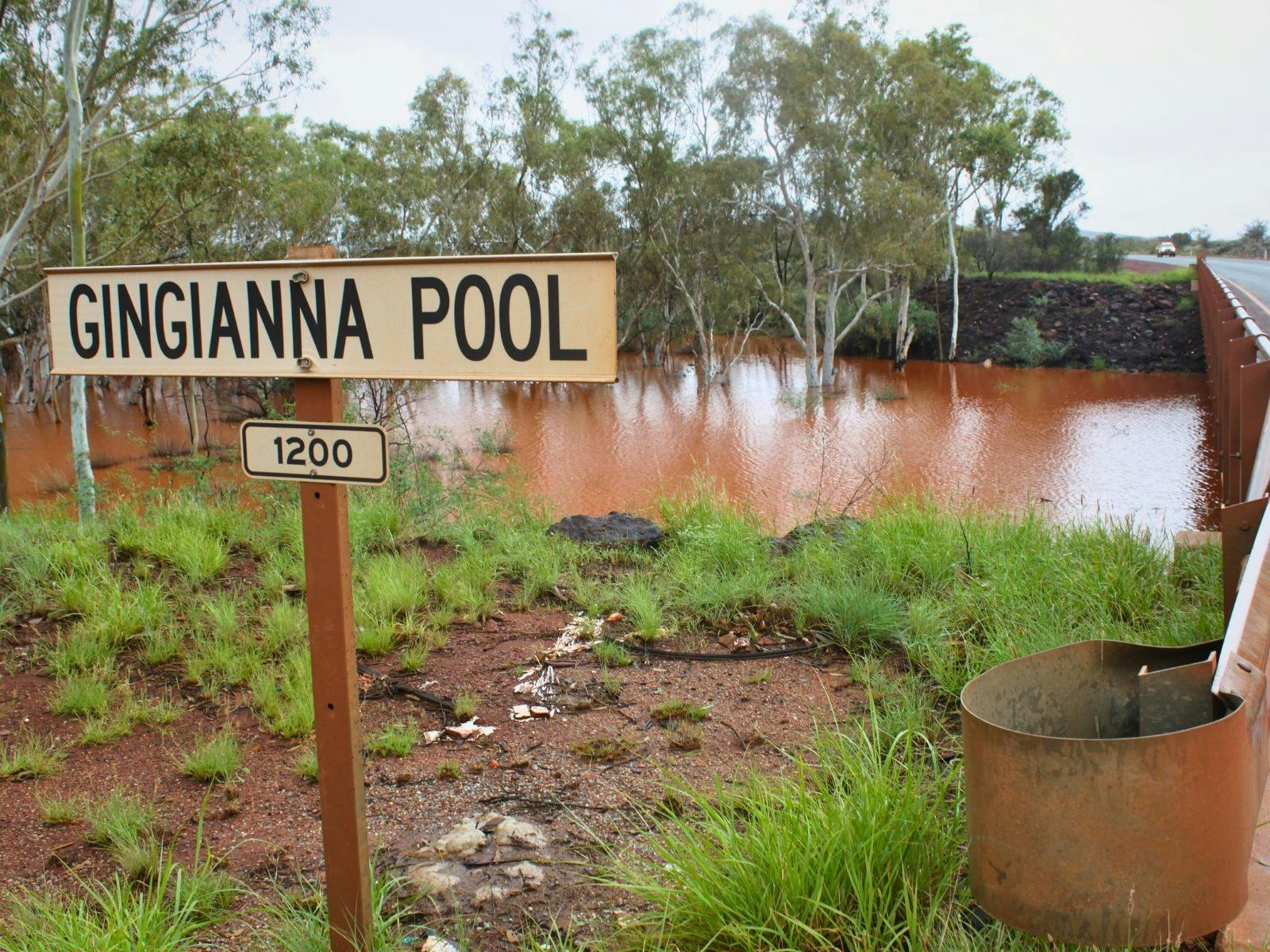 Gingianna Pool
