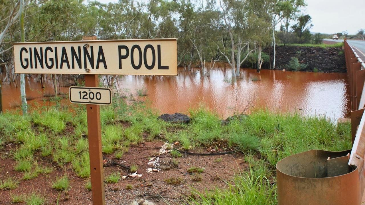 Gingianna Pool