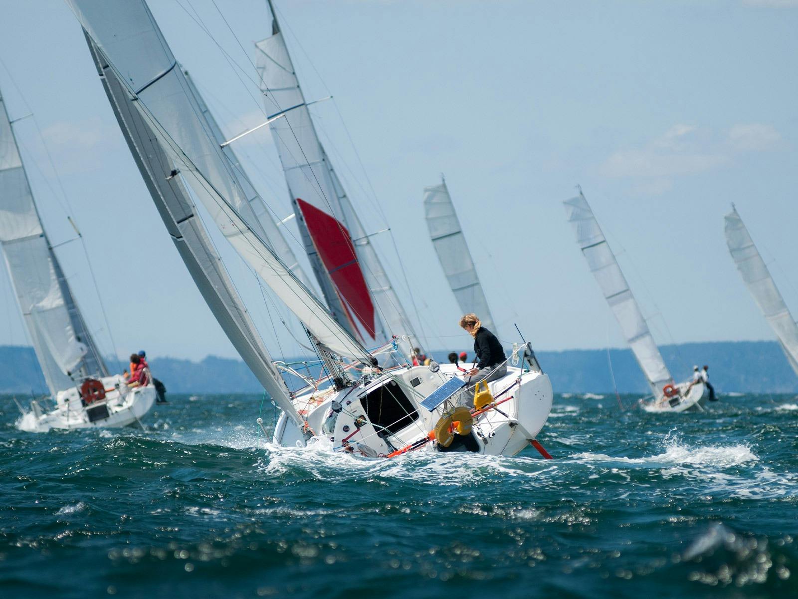 Boxing Day Cruises on Sydney Harbour