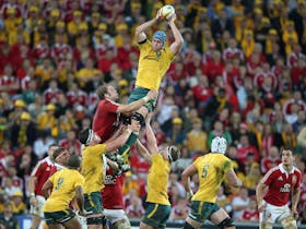 The British and Irish Lions vs New South Wales Waratahs - Sydney Cover Image