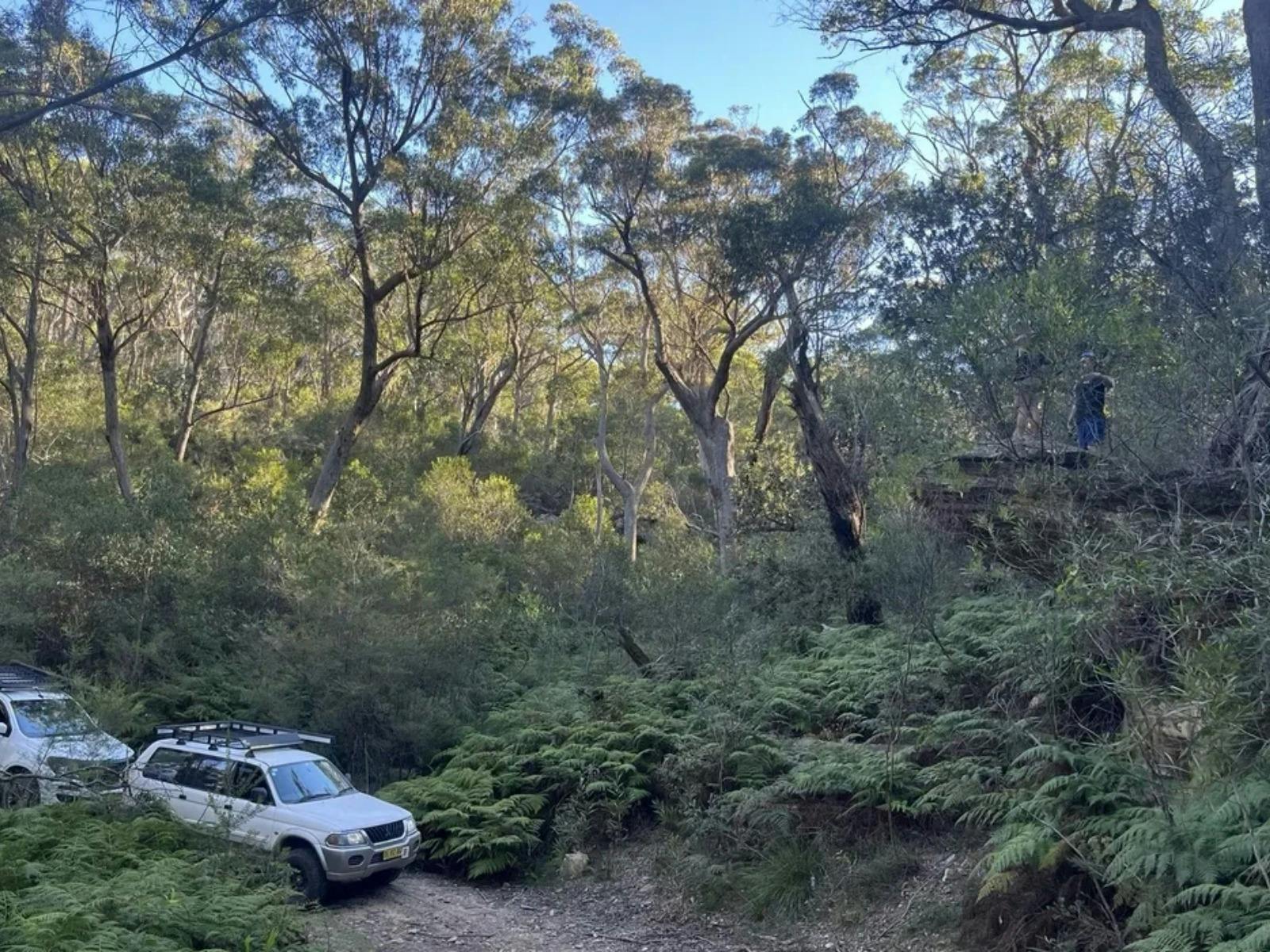 Belanglo State Forest