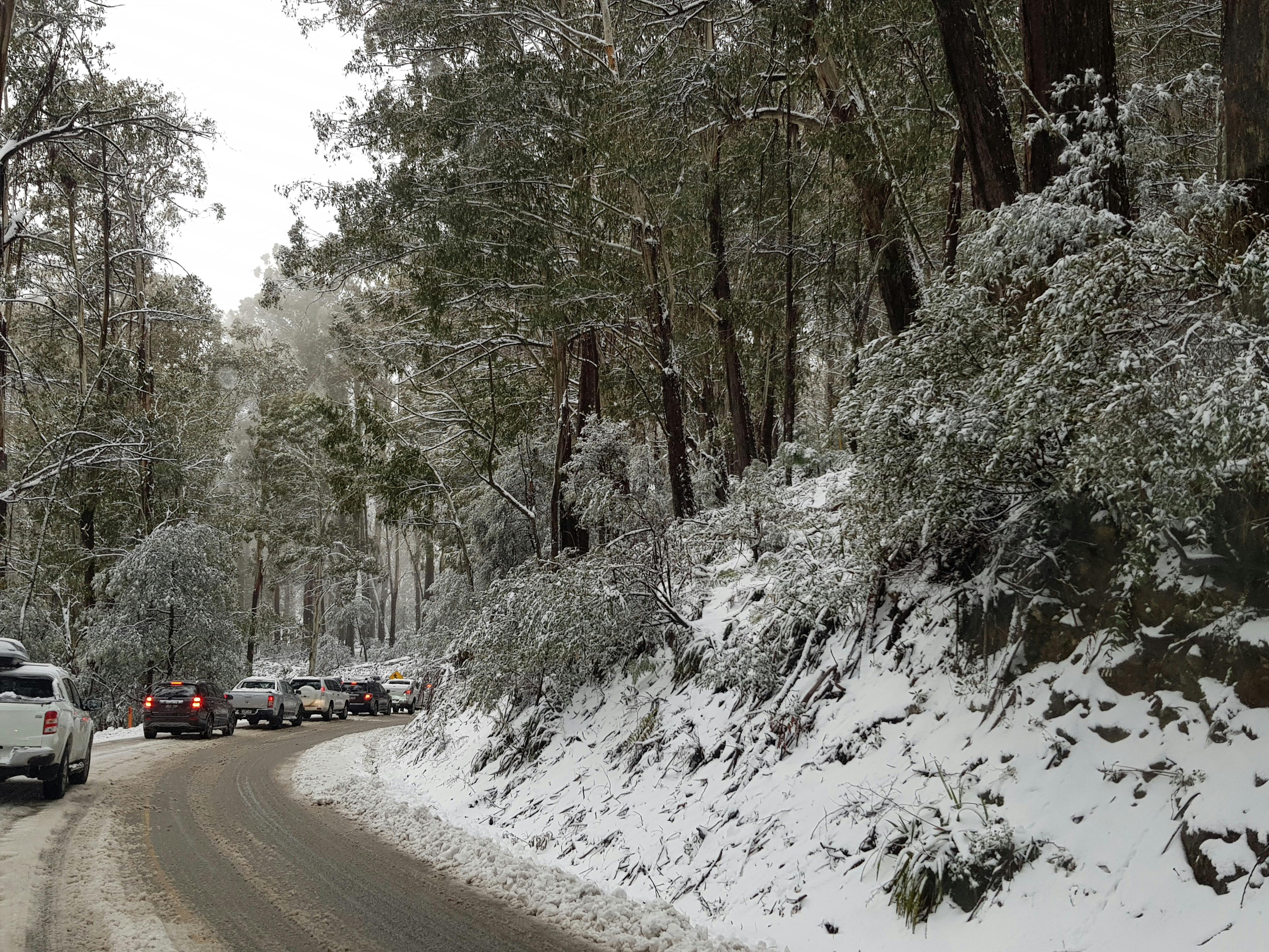road up to Mt Buller