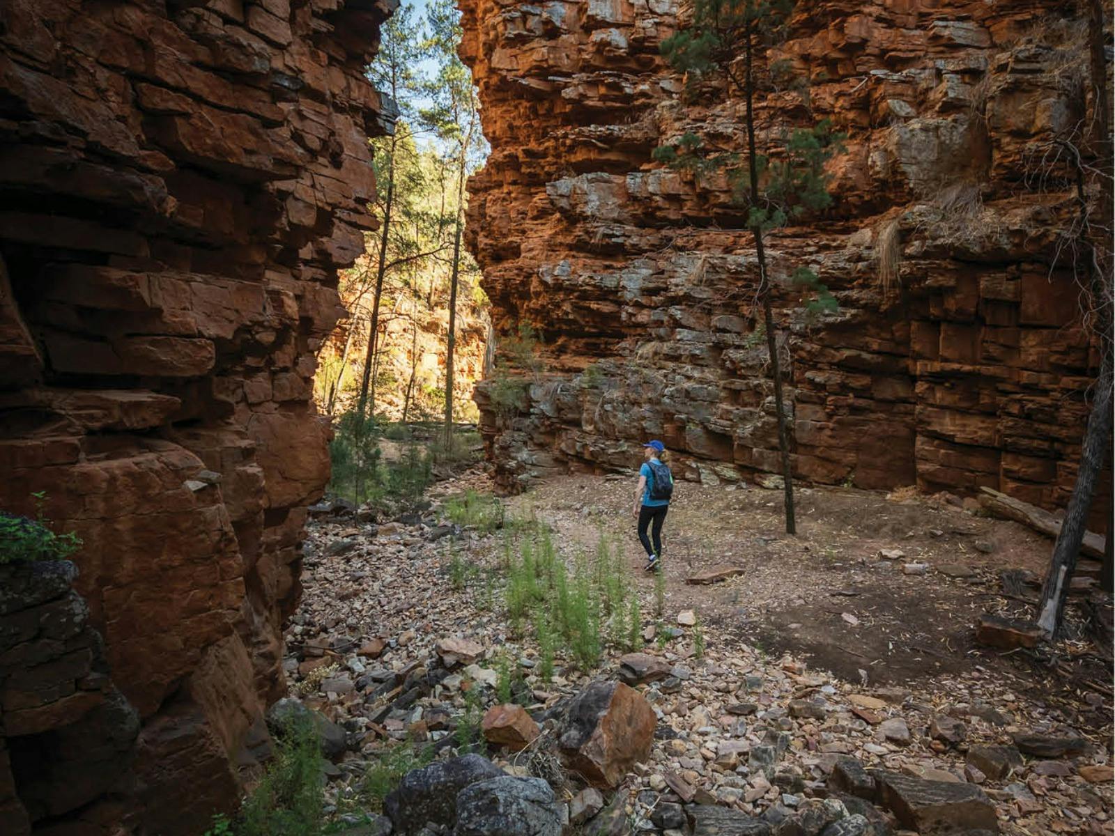 Heysen Trail and the Flinders Ranges Final Five