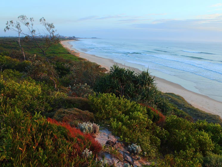 Elevated view of Dump Beach, Yamba.