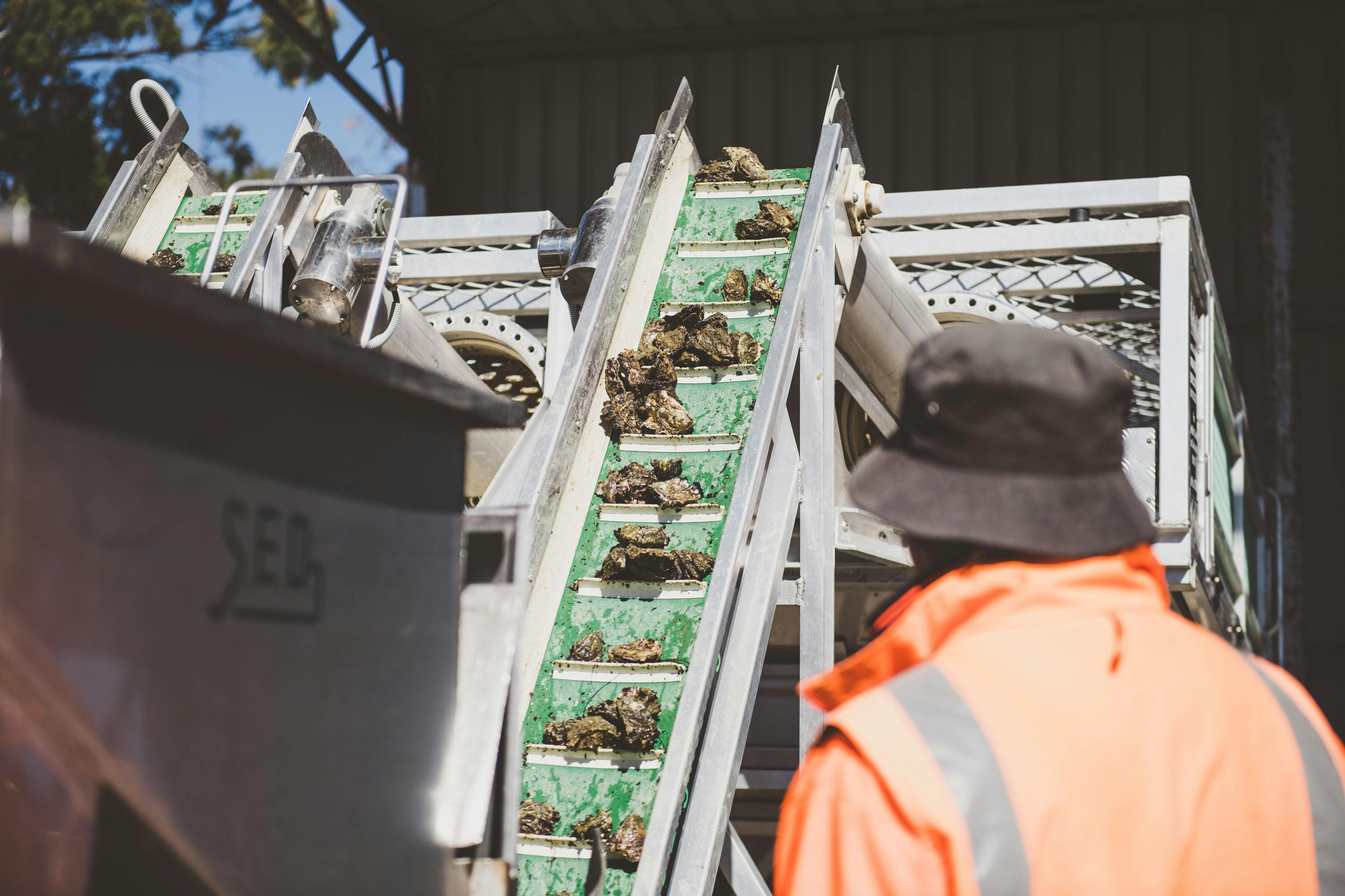 Mechanical sorting in action