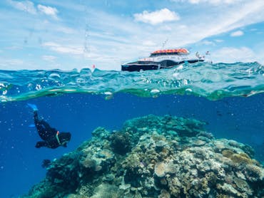 Cultural Tours Cairns
