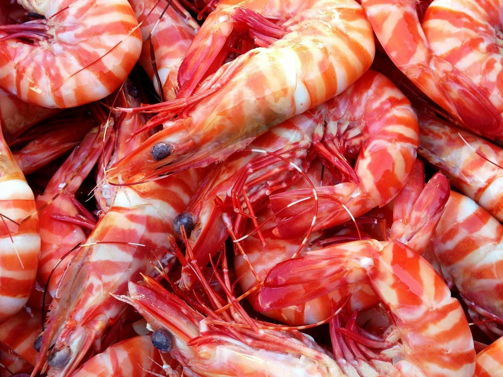 Whitsunday WILD Tiger Prawns