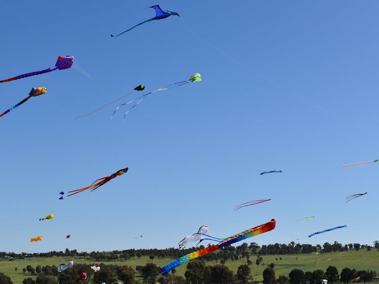 Flying Kites across the skyline
