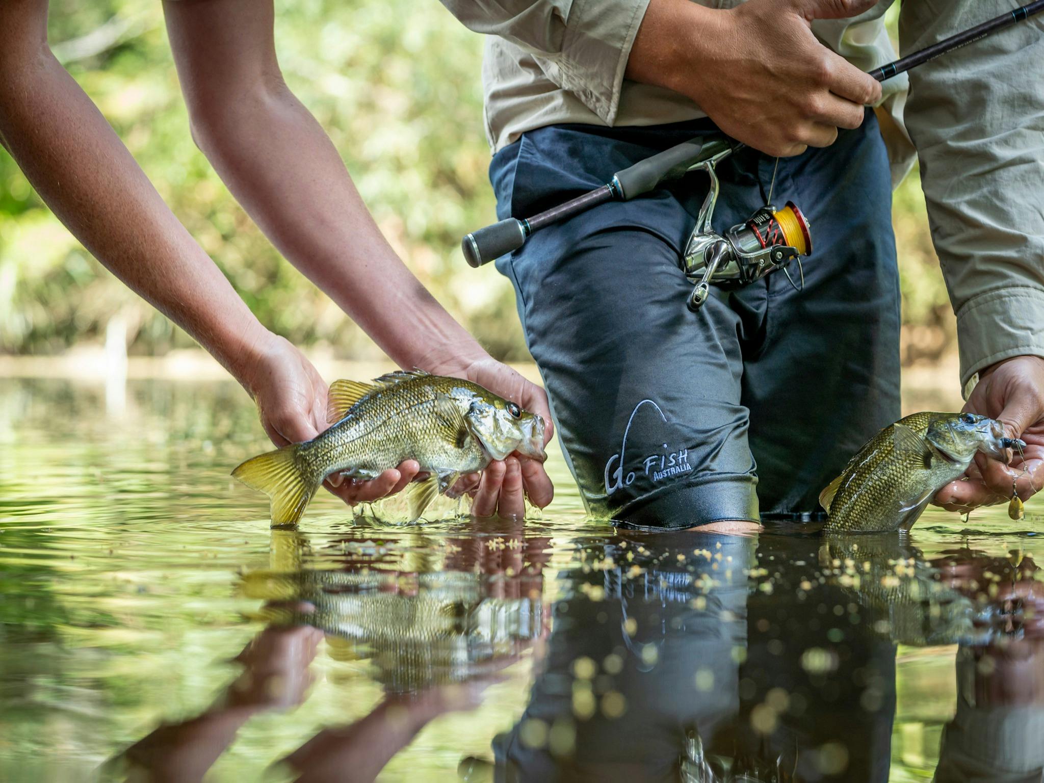 Byron Bay Rainforest Fishing NSW Holidays & Things to