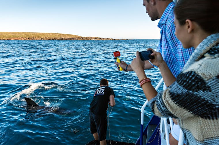 The Rodney Fox Hosted Great White Spectacular Tour