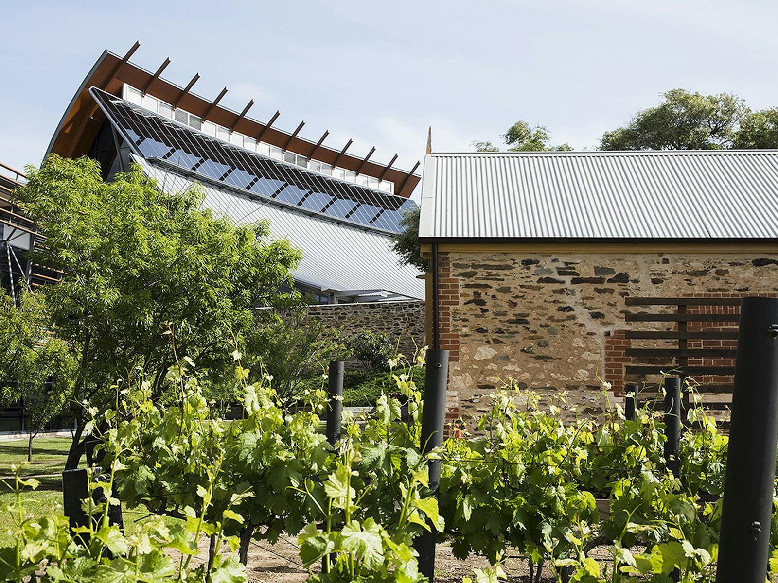Image for National Wine Centre of Australia, Dinner D'Or