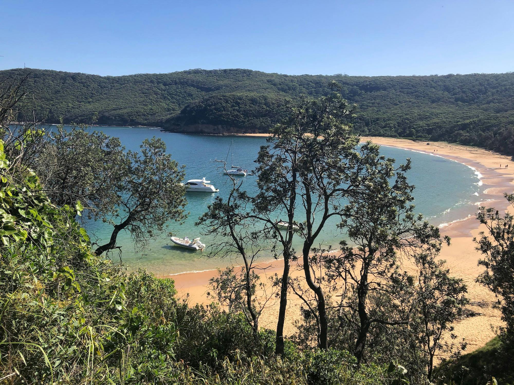 Bushwalk and Wild Flower Lunch