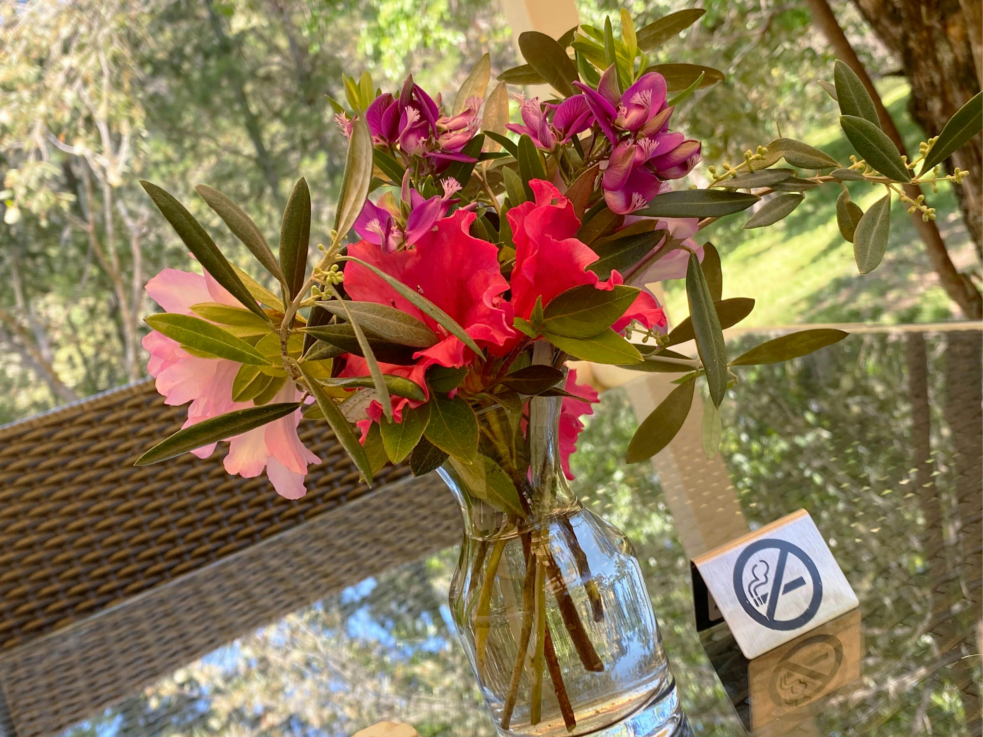 Manning Suite Private Deck Space