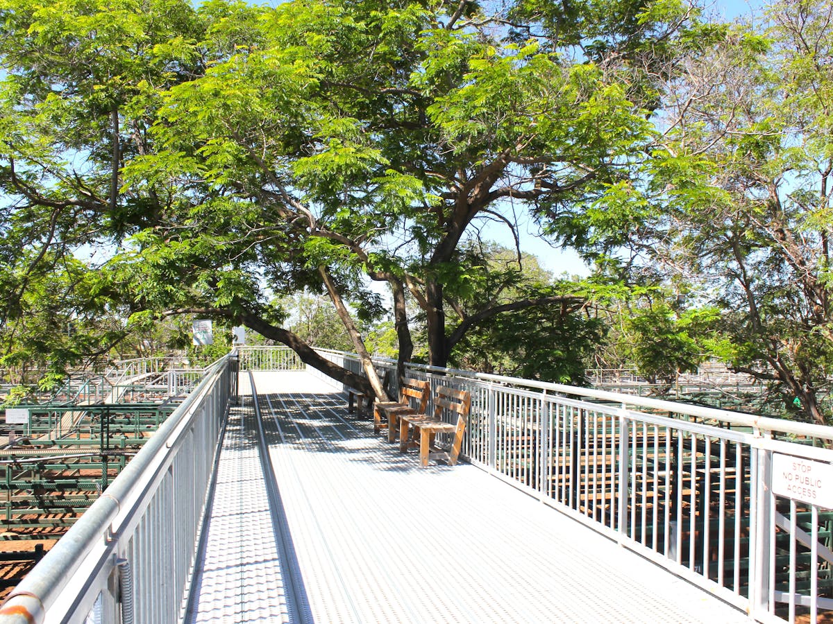 Visitors viewing platform